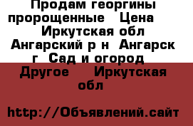 Продам георгины пророщенные › Цена ­ 80 - Иркутская обл., Ангарский р-н, Ангарск г. Сад и огород » Другое   . Иркутская обл.